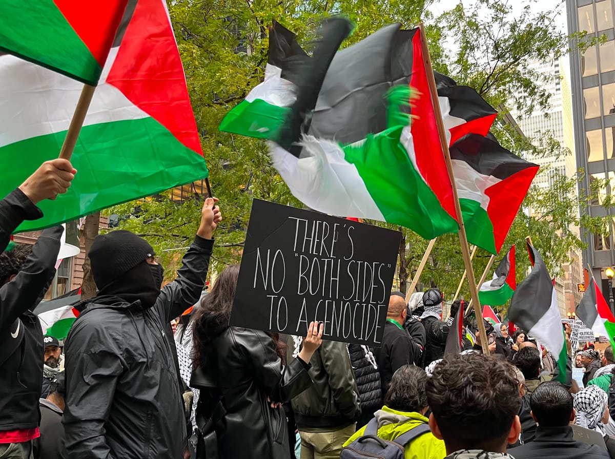 "Just Keep Organizing," Says Palestinian Youth Movement Organizer