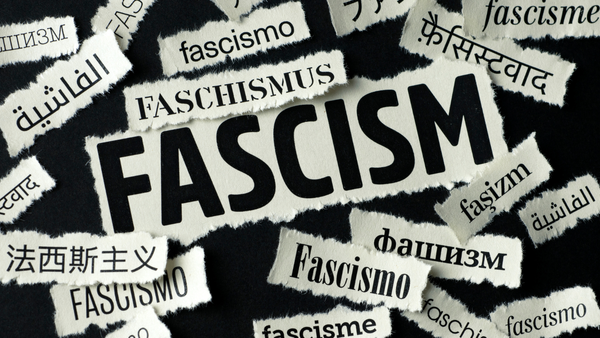 Some Notes From Fascism 101