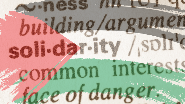 The word solidarity in a dictionary with a semi-transparent Palestinian flag superimposed over it.