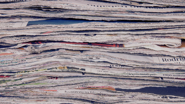 A pile of shredded newspaper.