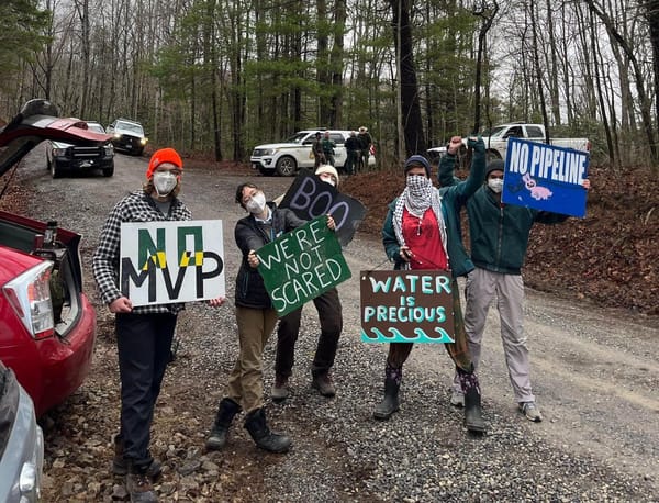 Protesters hold signs with messages like "No Pipeline" on a road in a wooded area.