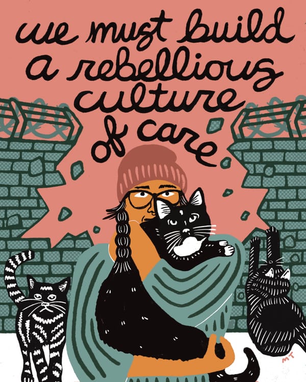 Illustration. A person holds a cat. A wall shatters. Text: We must build a rebellious culture of care