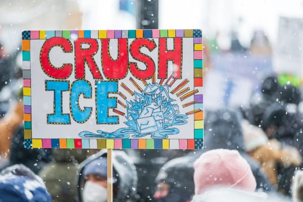 A protest sign reads: "CRUSH ICE."